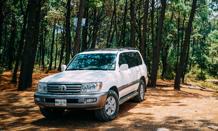 Maruti Suzuki Celerio